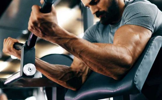 Steroide als Unterstützung im Krafttraining Steroide als Unterstützung im Krafttraining