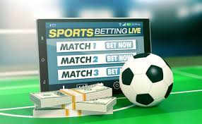 Betwinner Your Ultimate Sports Betting Experience
