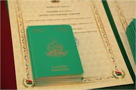 Understanding the Costs of Vanuatu Passport A Comprehensive Guide 898732471